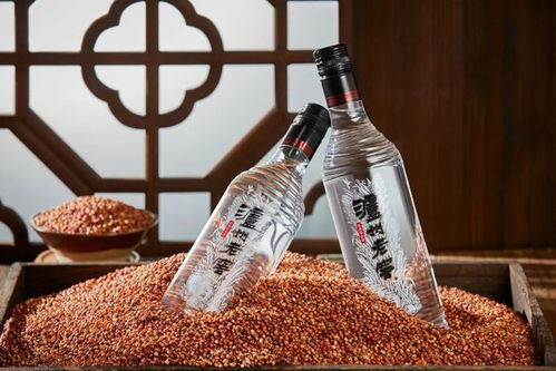 老窖热与光瓶热 白酒零售市场的消费新趋势解析